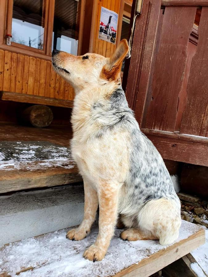 Raj Helmuta Villa Rabe  Dış mekan fotoğraf